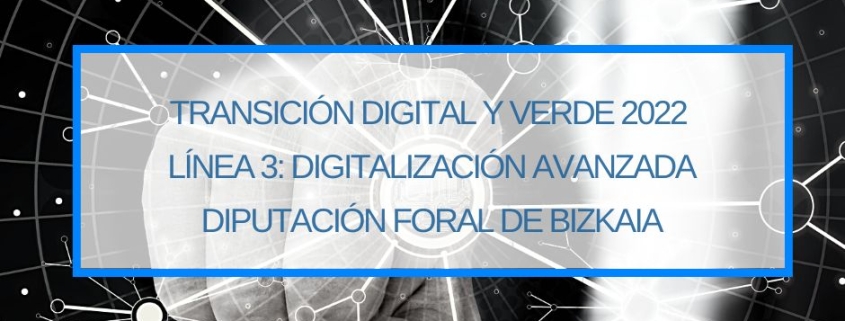 Transicion Digital y Verde 2022 Digitalizacion Avanzada Linea 3 Diputacion Foral de Bizkaia Subvenciones para Empresas Thinknnova Asesoria Integral